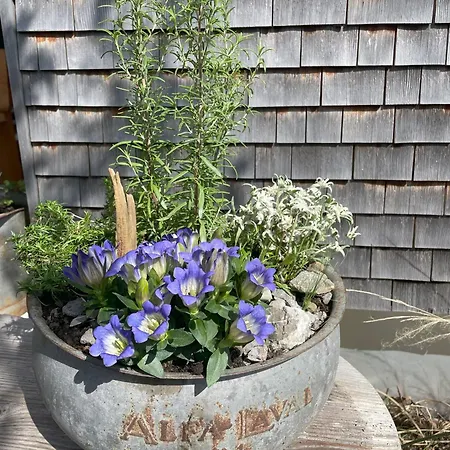 Zu Gast Bei Den Hagspiels Apartament Hittisau